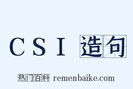 CSI造句是什么意思的图片